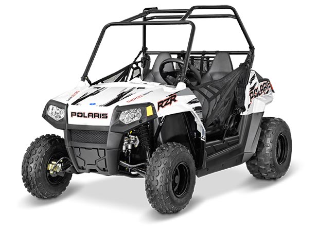 buggy polaris rzr 170